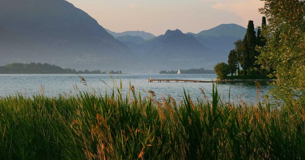 دفتر شعر وقلم - كتابة القوافي والشعر العربي