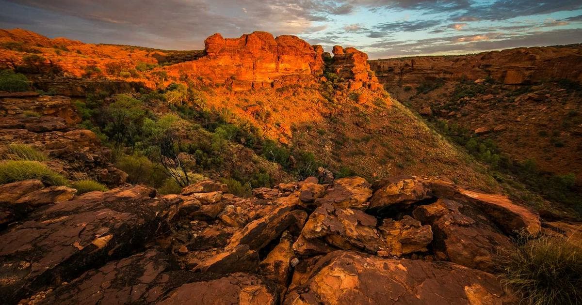 صحراء نجد - قلب الجزيرة العربية